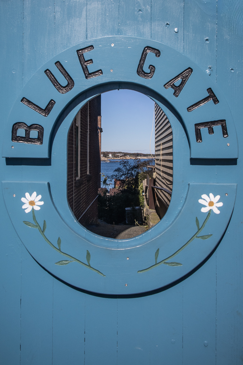 DeCristofaro Janet Through the Blue Gate Pictorial   Class B 20260415